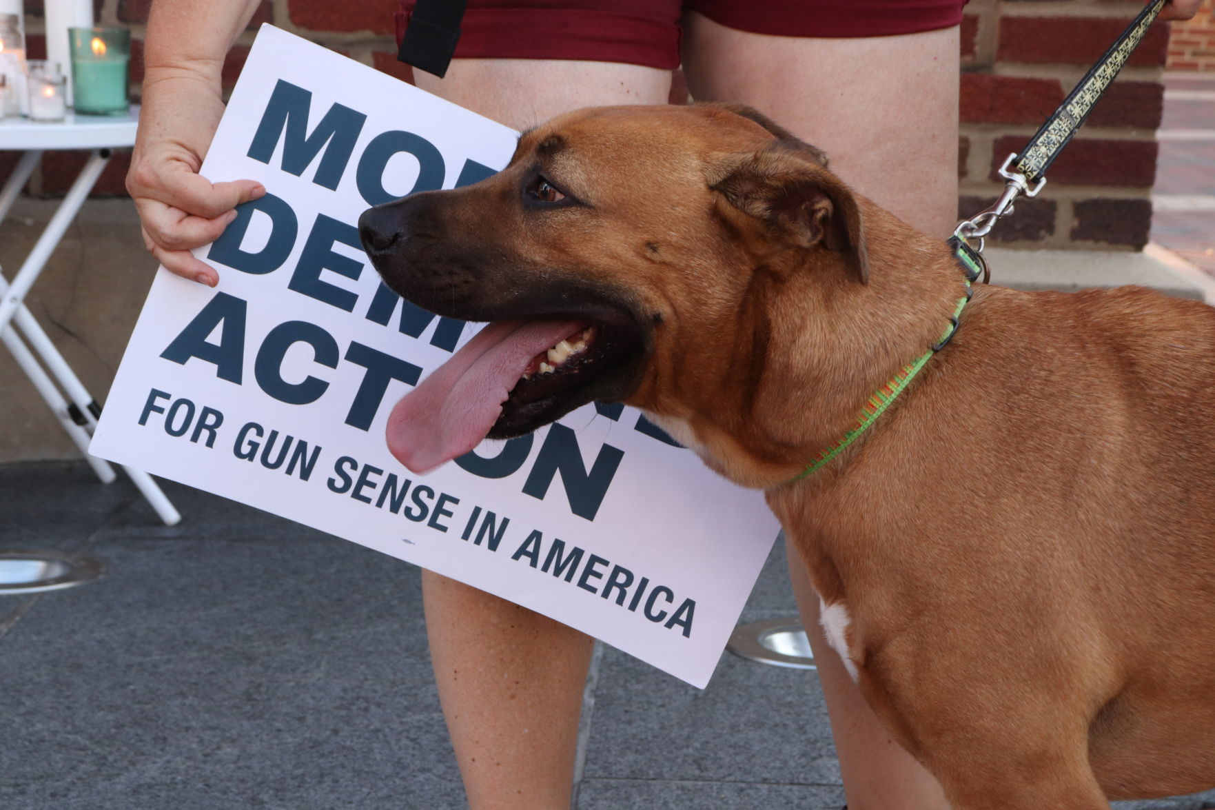 Moms Demand Action Toomer's Corner Rally
